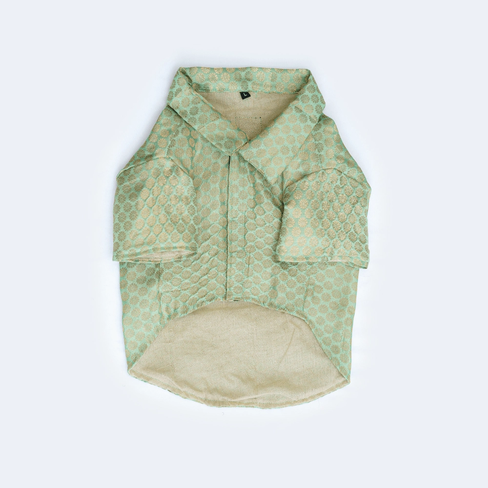 Pawgypets Occasion Wear Shirt for Dogs and Cats (Pista Green)