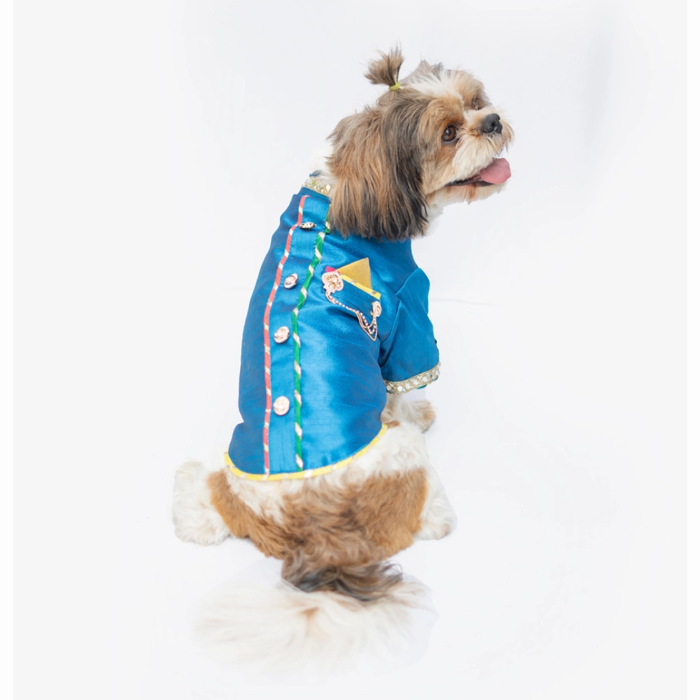 Pawgypets Raw Silk Sherwani for Dogs and Cats (Blue)