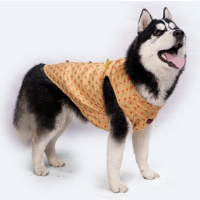 Pawgypets Sherwani for Dogs and Cats (Golden)