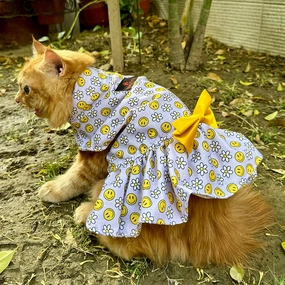 Pawgypets Smiley Daisy Dress for Cats (Lavender)