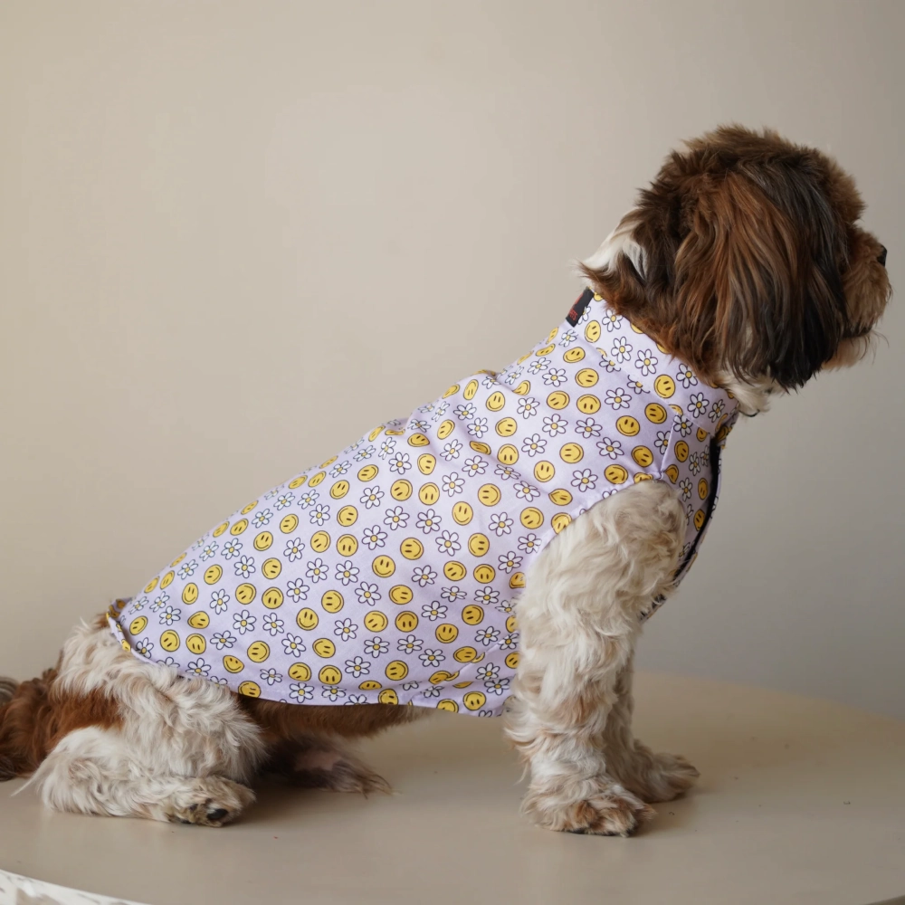 Pawgypets Smiley o clock sando for Dogs (Lavender)