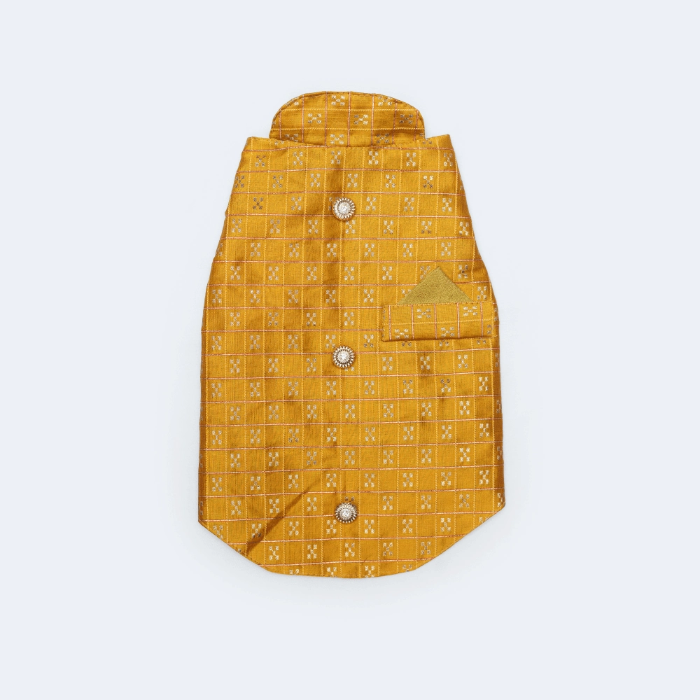 Pawgypets Strapy Sherwani for Dogs and Cats (Mustard)