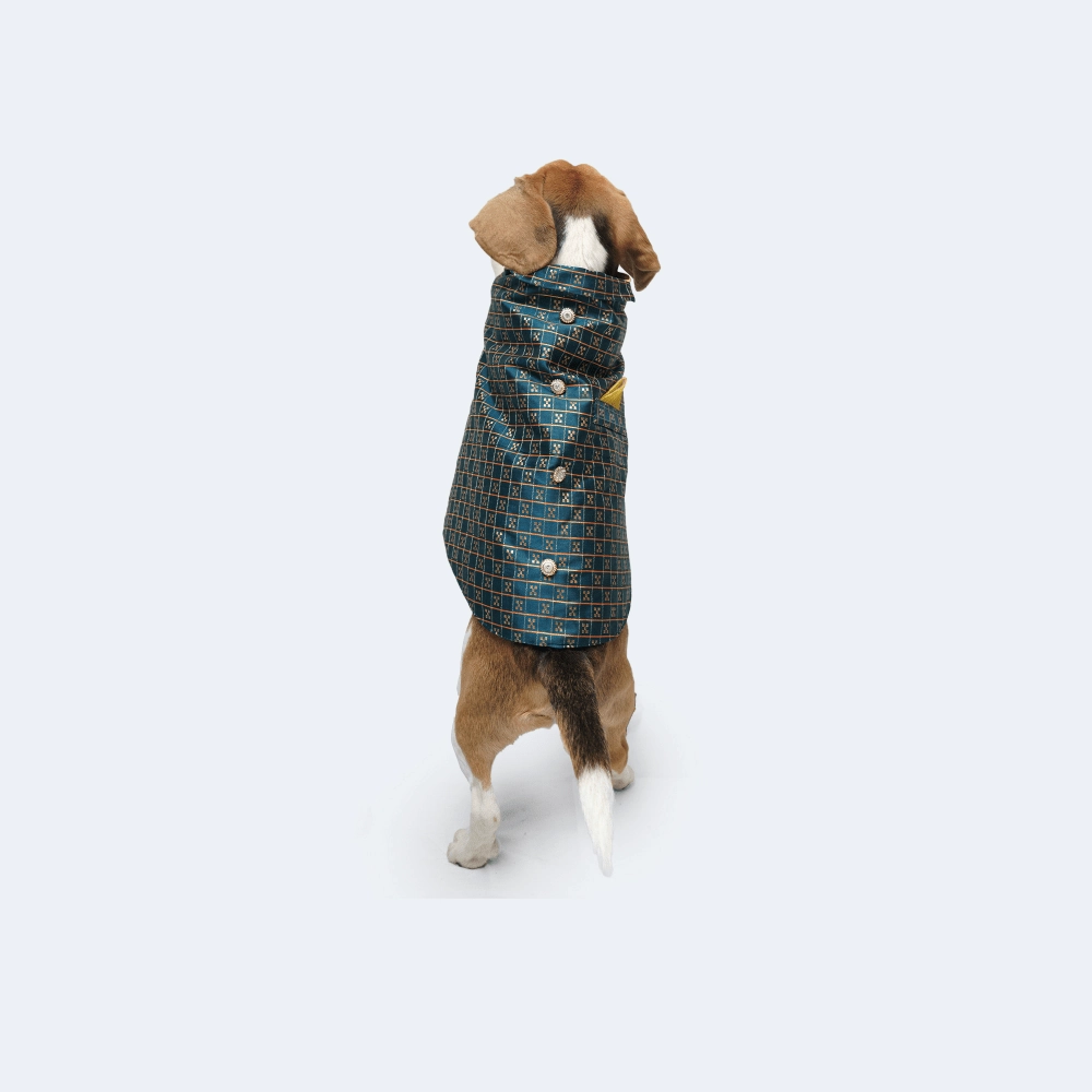 Pawgypets Strapy Sherwani for Dogs and Cats (Peacock Blue)