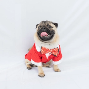 Pawgypets Tuxedo for Dogs and Cats (Red)