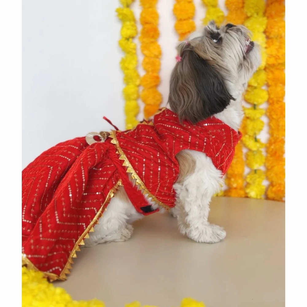Pawgypets Velvet Lehenga for Dogs and Cats (Red)