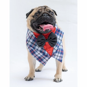 Pawgypets Waistcoat Bandana for Dogs and Cats (Blue)