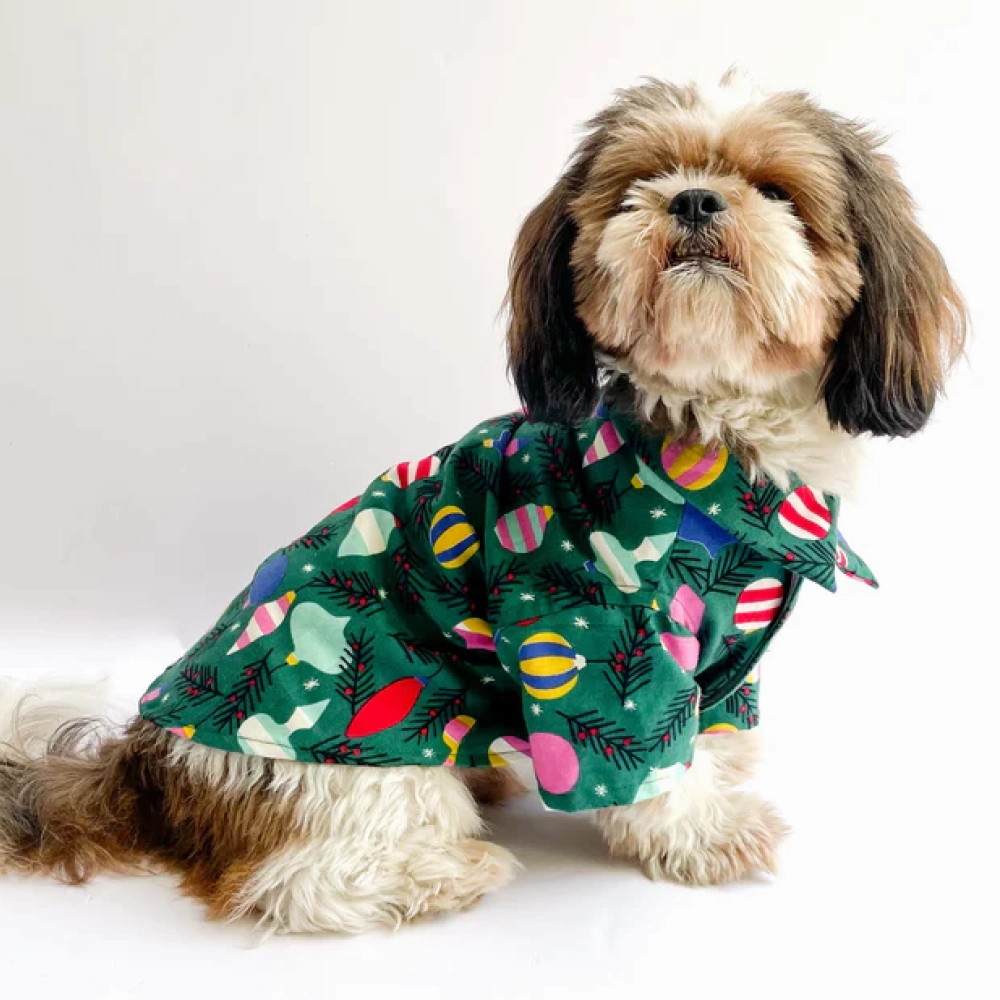 Pawgypets Warm Winter Shirt for Dogs and Cats (Green)