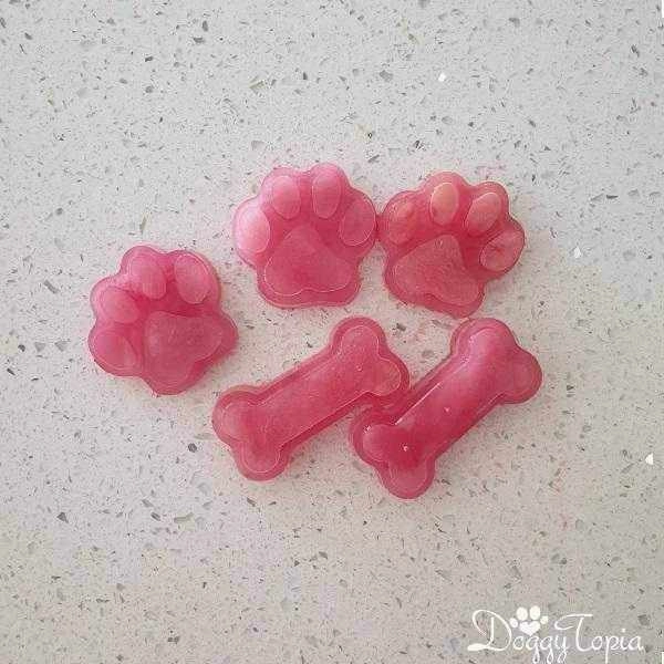 Paws and Bones Silicone Mould