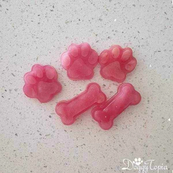 Paws and Bones Silicone Mould