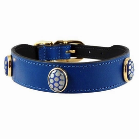Peacock Collection Dog Collar Cobalt Blue