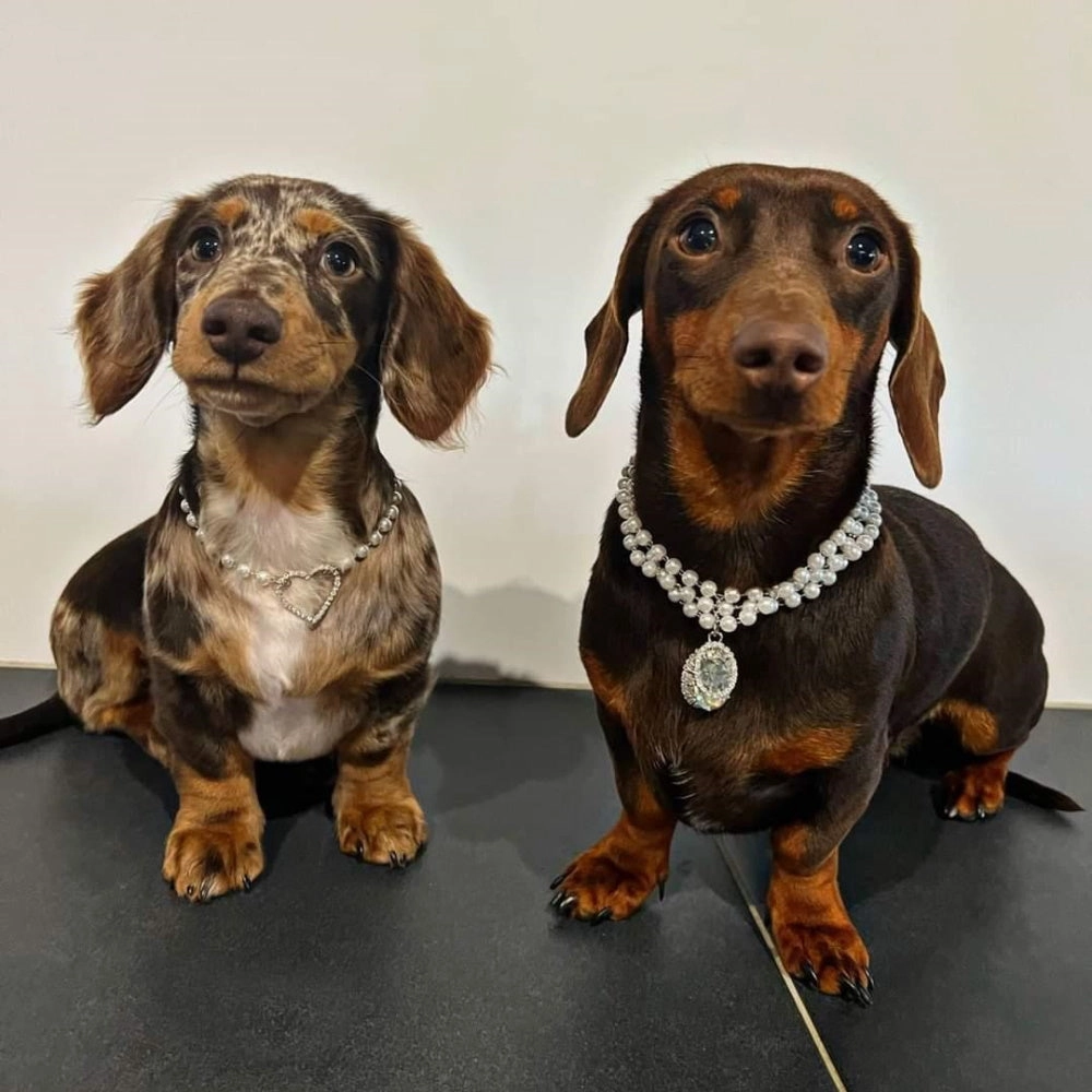 Pearl Diamante Heart Dog Necklace
