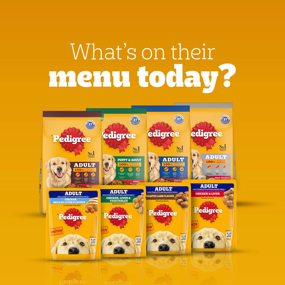 Pedigree Chicken, Egg and Rice Adult Dog Dry Food