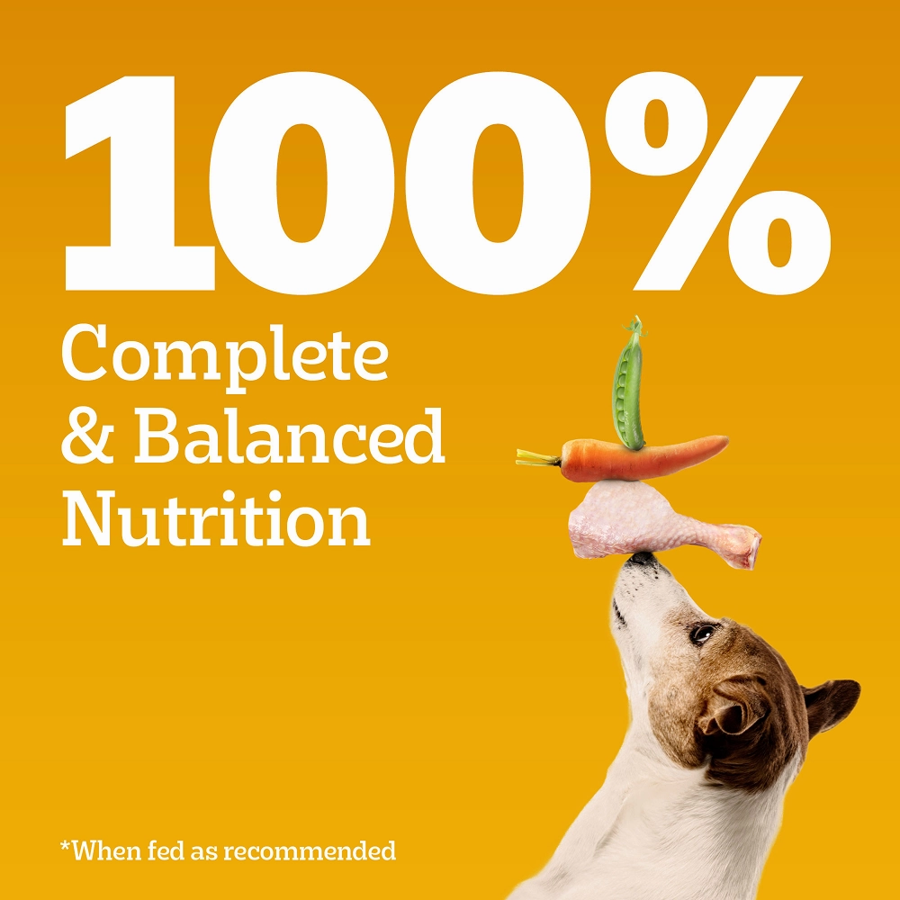 Pedigree Meat & Rice Adult Dog Dry Food