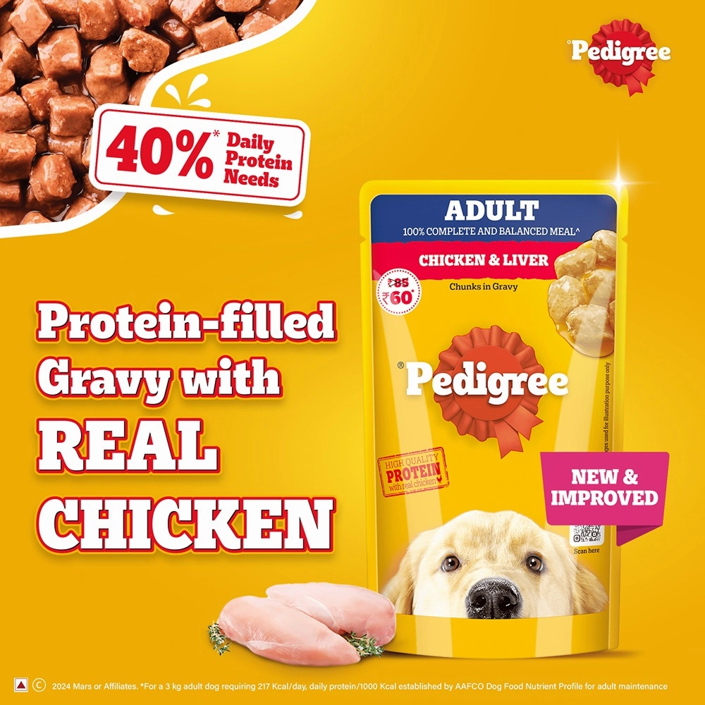 Pedigree PRO Active Adult Large Breed Dry Food, Pedigree Chicken Liver Gravy Adult Dog Wet Food Combo