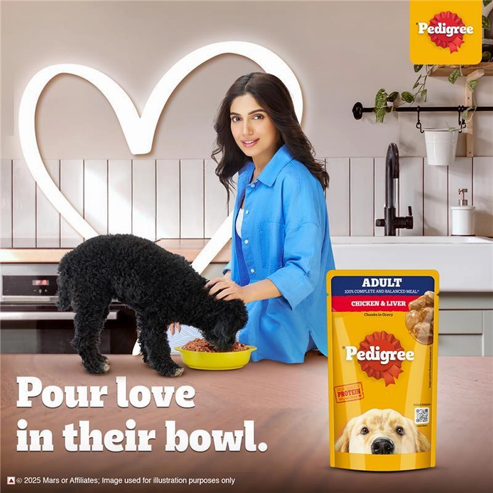 Pedigree PRO Active Adult Large Breed Dry Food, Pedigree Chicken Liver Gravy Adult Dog Wet Food Combo