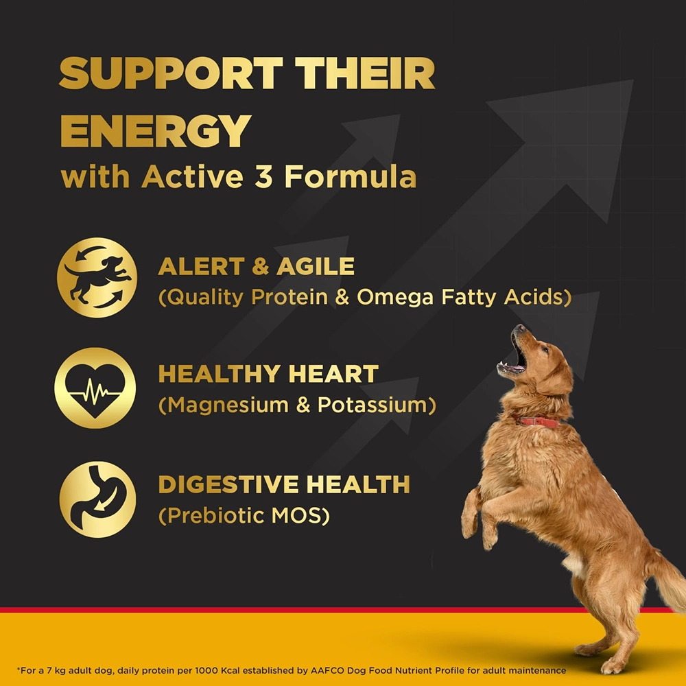 Pedigree PRO Active Adult Large Breed Dry Food, Pedigree Chicken Liver Gravy Adult Dog Wet Food Combo