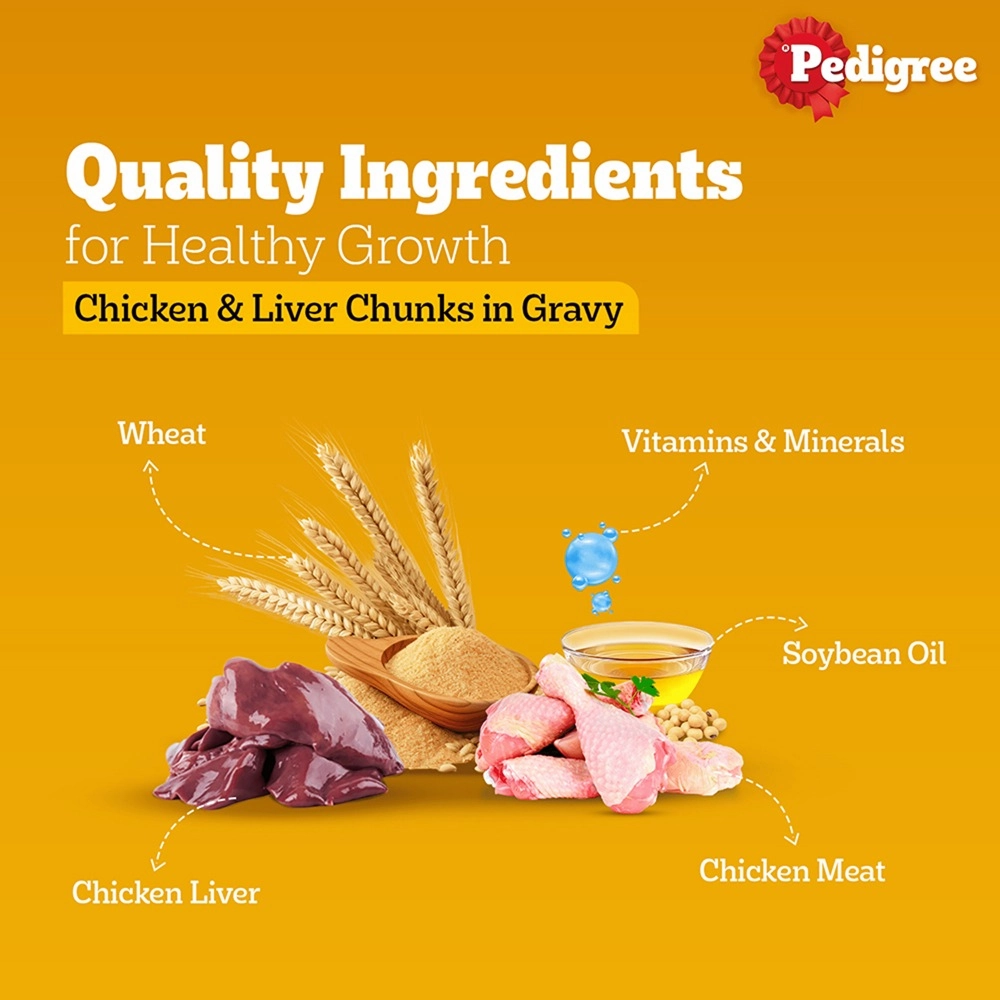 Pedigree PRO Active Adult Large Breed Dry Food, Pedigree Chicken Liver Gravy Adult Dog Wet Food Combo