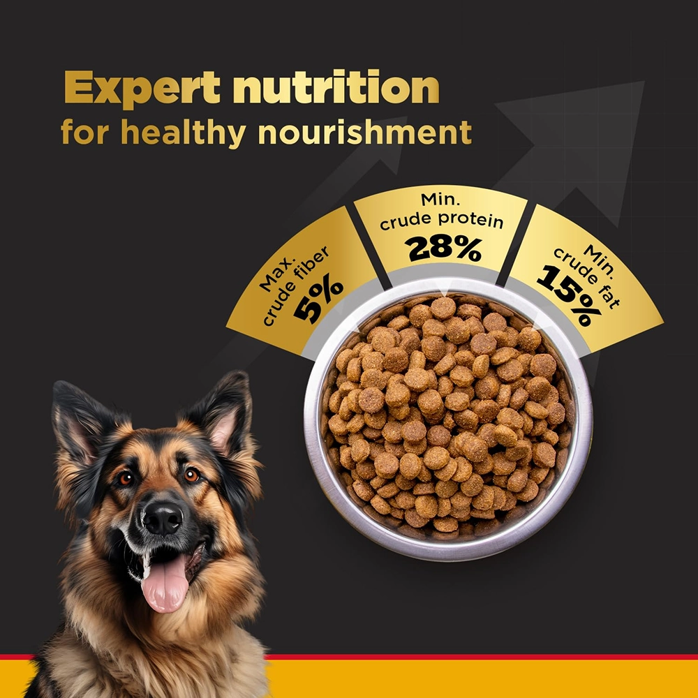 Pedigree PRO Active Adult Large Breed Dry Food, Pedigree Chicken Liver Gravy Adult Dog Wet Food Combo