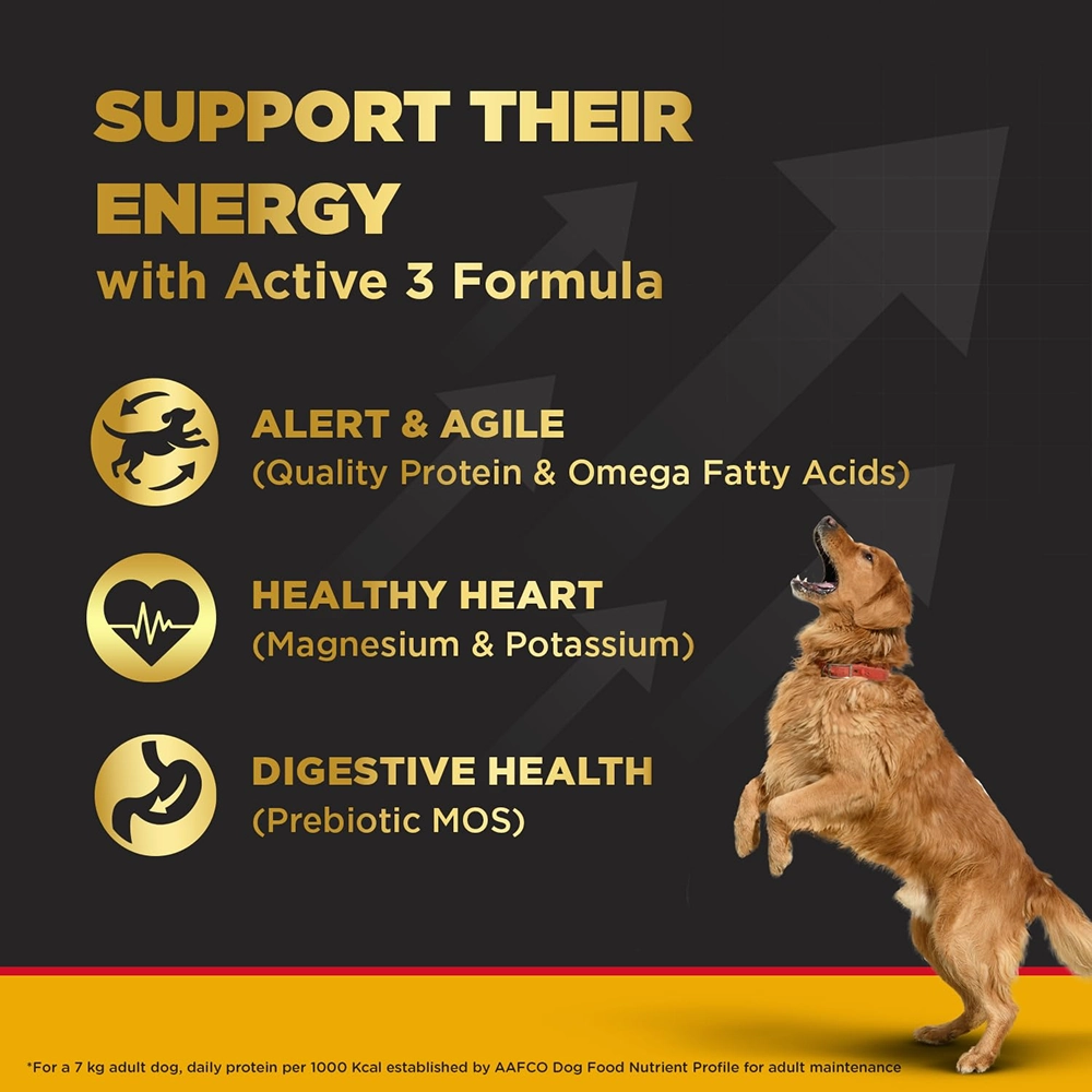 Pedigree PRO Active Adult Large Breed Dry Food, Pedigree Dentastix Oral Care Adult Dogs Treat Combo