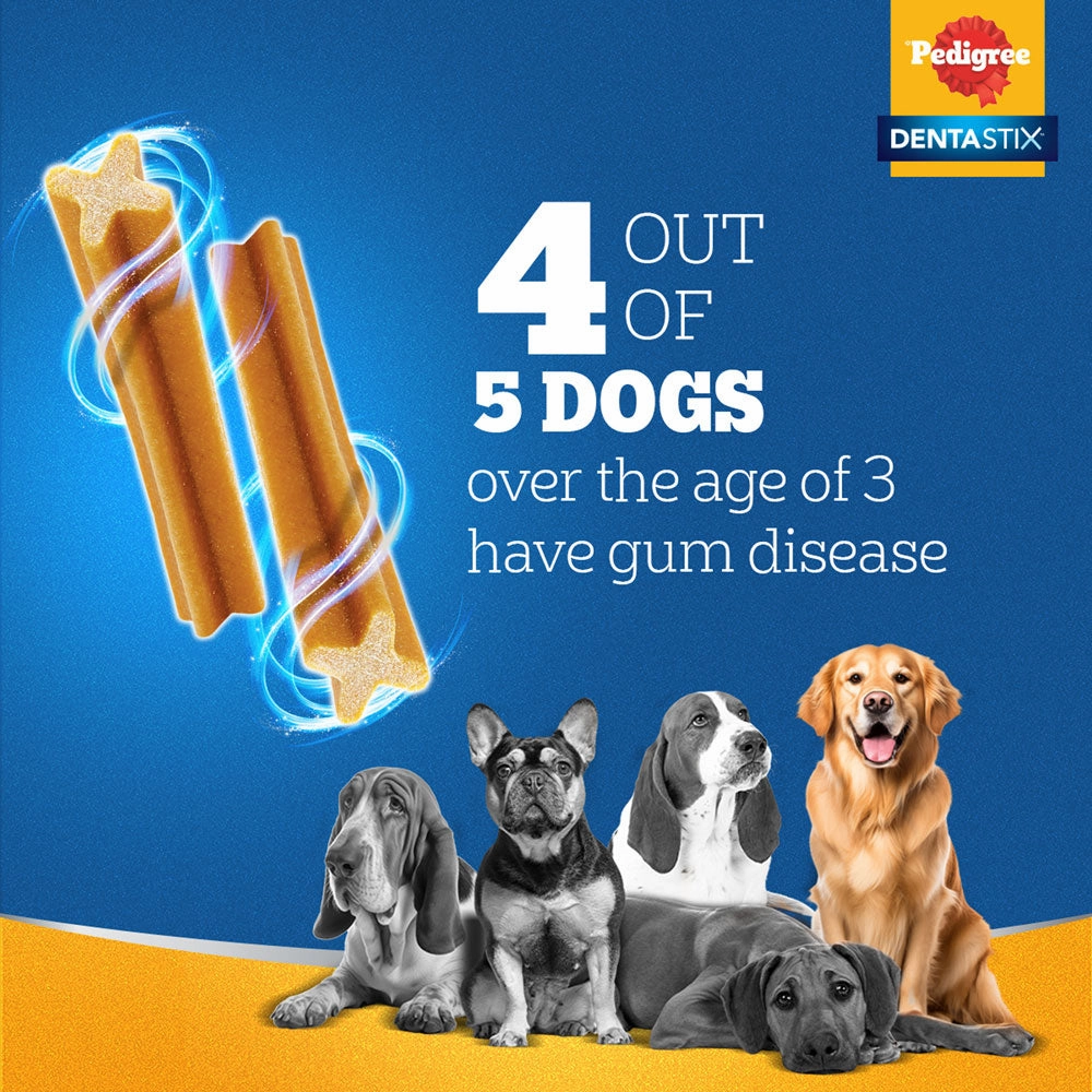 Pedigree PRO Active Adult Large Breed Dry Food, Pedigree Dentastix Oral Care Adult Dogs Treat Combo