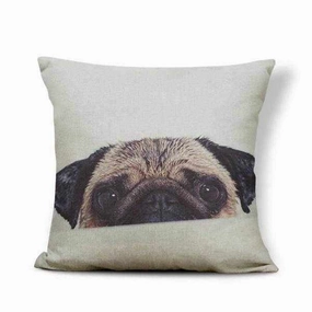 Peek a Boo Pug Throw Cushion