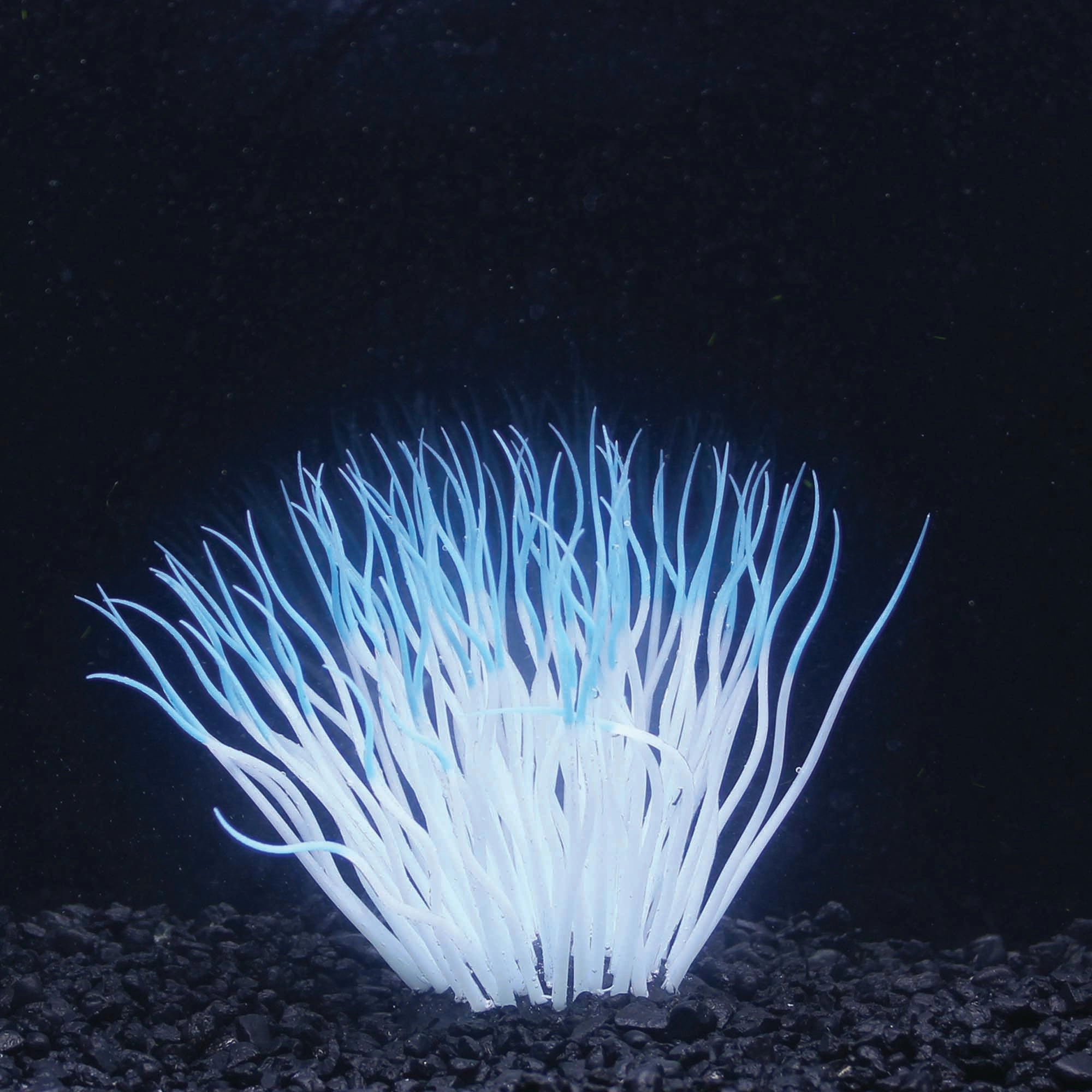 Penn-Plax Aqua-Plants Artificial Soft Silicone Sea Anemone Fish Tank and Aquarium Decor   Blue