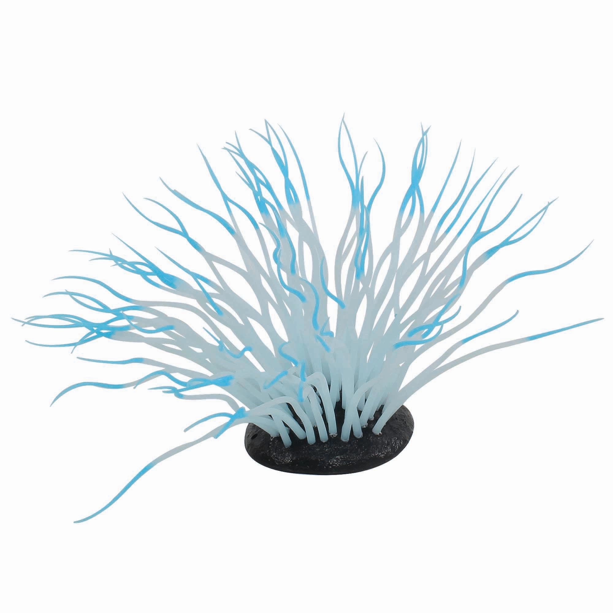 Penn-Plax Aqua-Plants Artificial Soft Silicone Sea Anemone Fish Tank and Aquarium Decor   Blue
