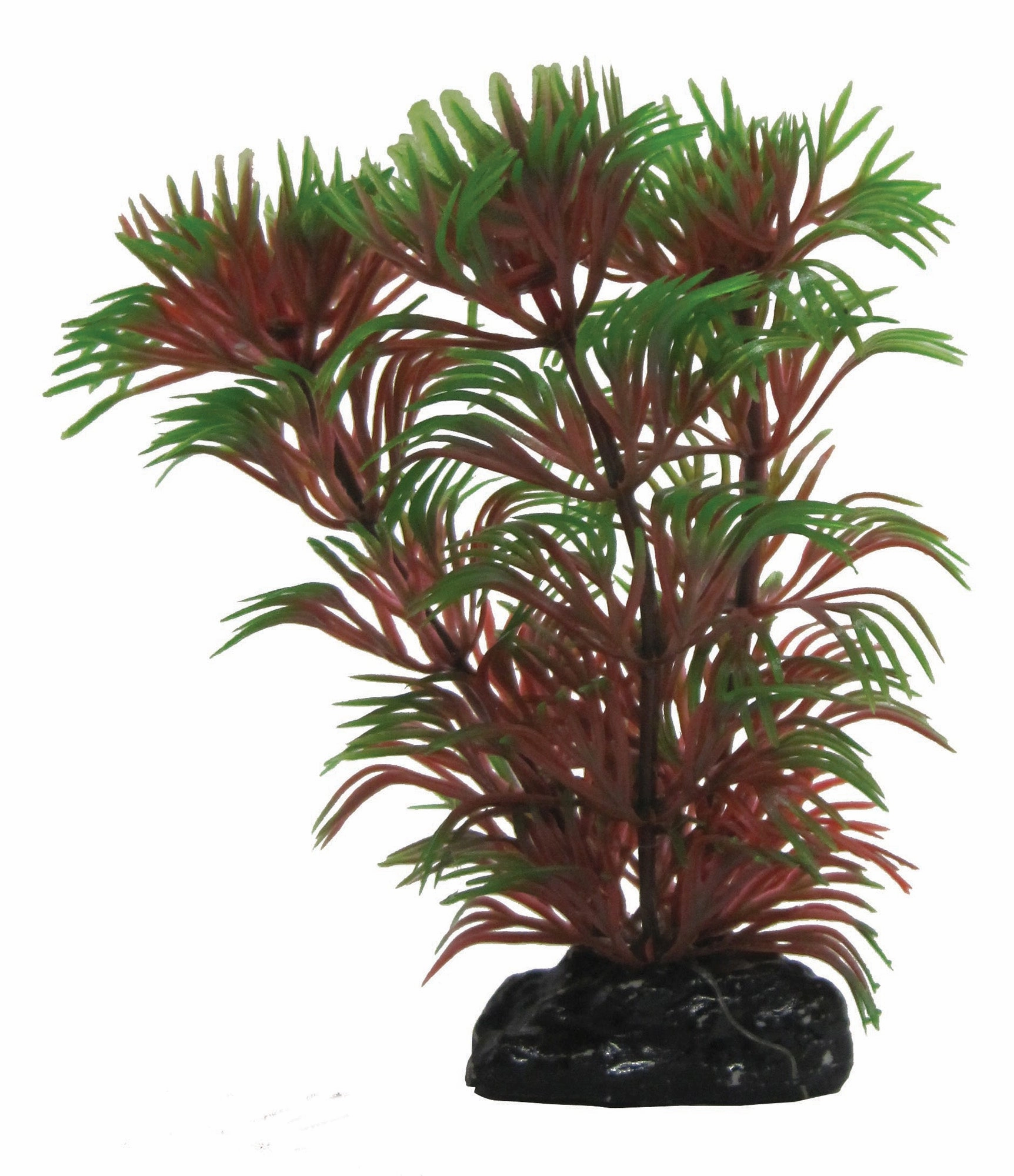 Penn-Plax Cabomba/Green with Red Betta Fish Aquarium Plant