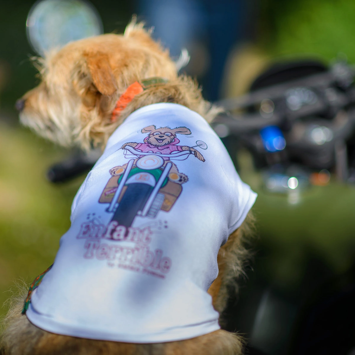 Personalized Comic Print Dog T-Shirt
