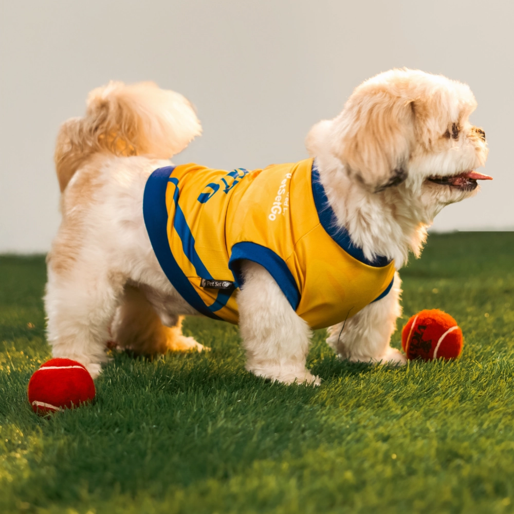 Pet Set Go Chennai Super Paws IPL Jersey for Dogs (Yellow)