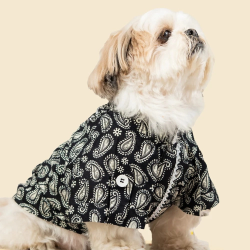 Pet Set Go Heritage Cotton Shirt for Dogs (Black)