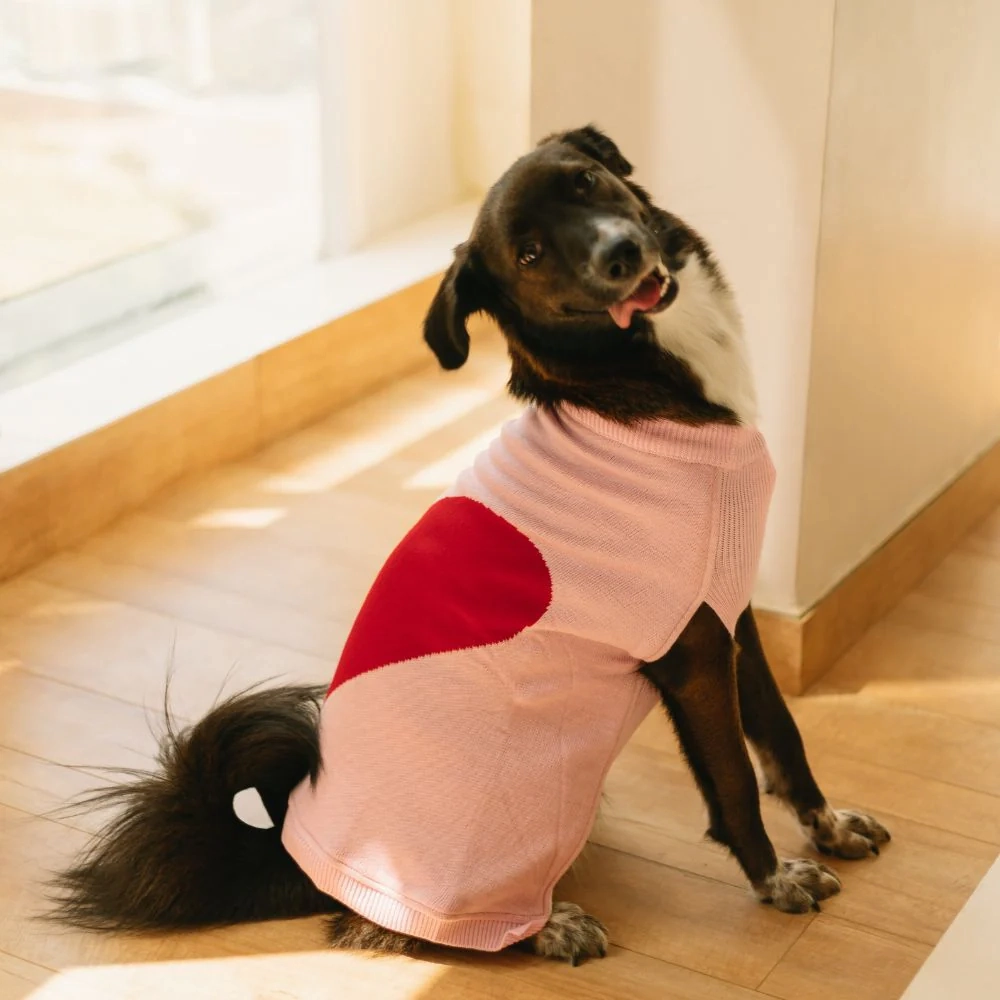 Pet Set Go Iras Sweater for Dogs and Cats (Red & Pink)