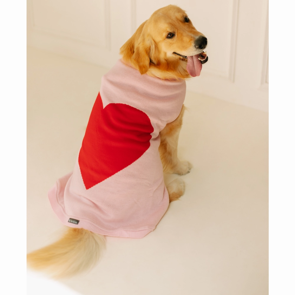 Pet Set Go Iras Sweater for Dogs and Cats (Red & Pink)