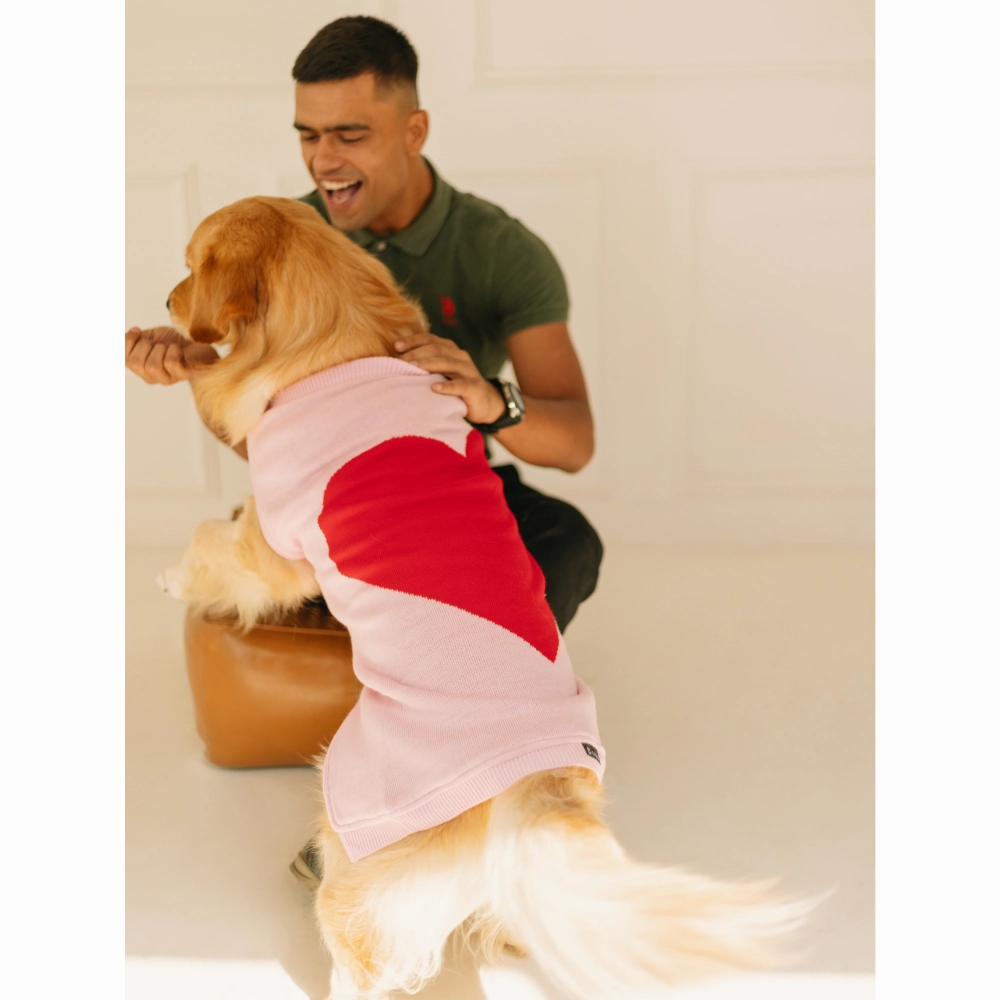 Pet Set Go Iras Sweater for Dogs and Cats (Red & Pink)