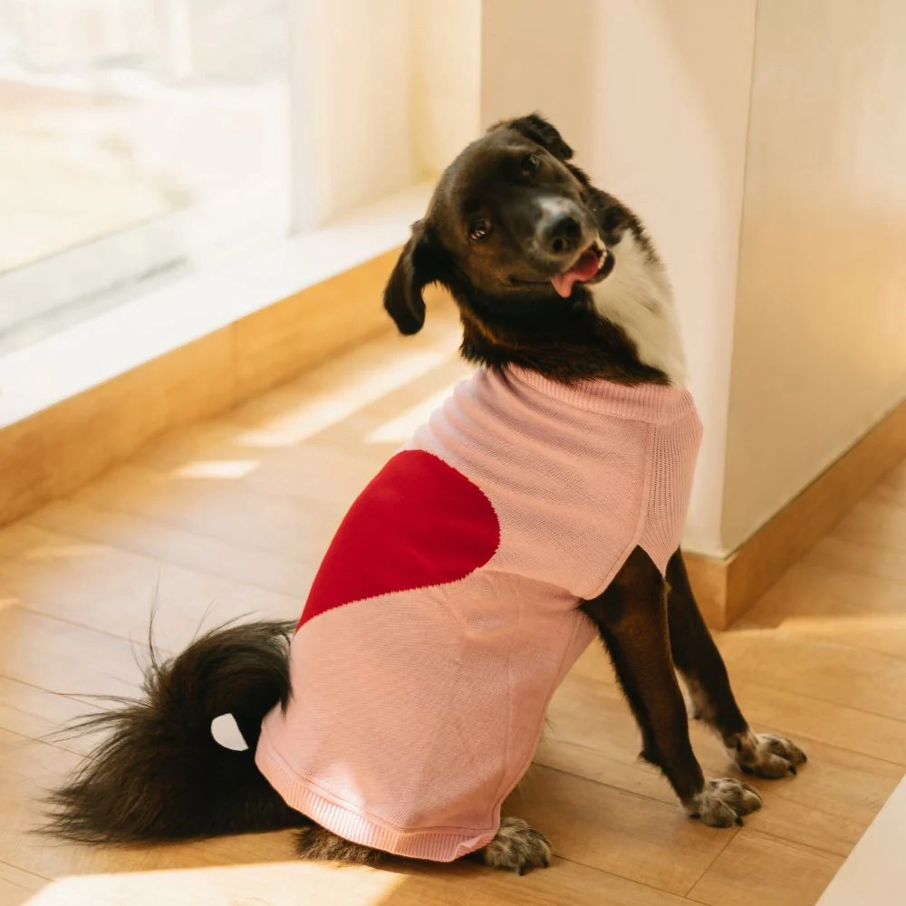 Pet Set Go Iras Sweater for Dogs and Cats (Red & Pink)