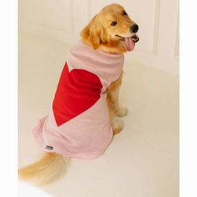 Pet Set Go Iras Sweater for Dogs and Cats (Red & Pink)