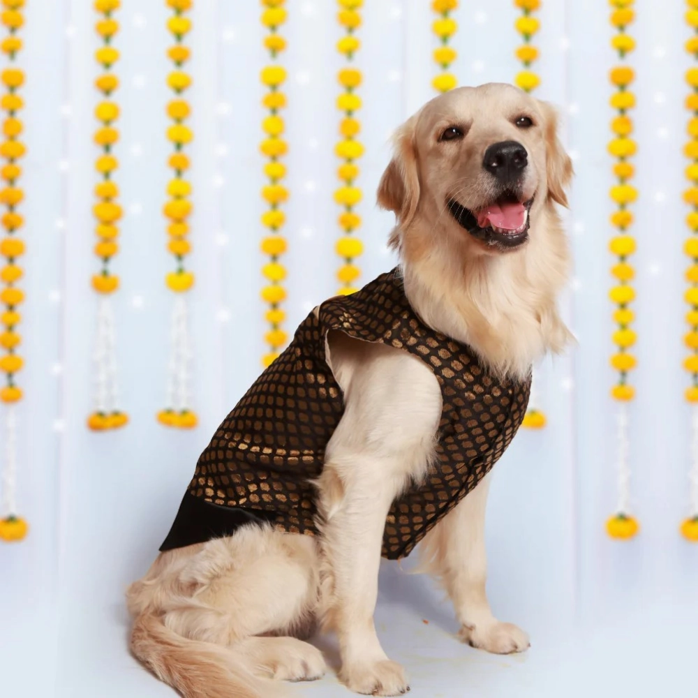 Pet Set Go Kurta for Dogs (Black)