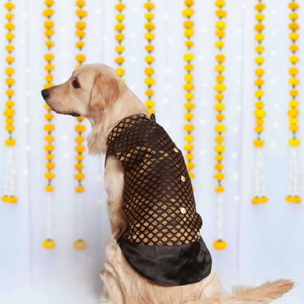 Pet Set Go Kurta for Dogs (Black)