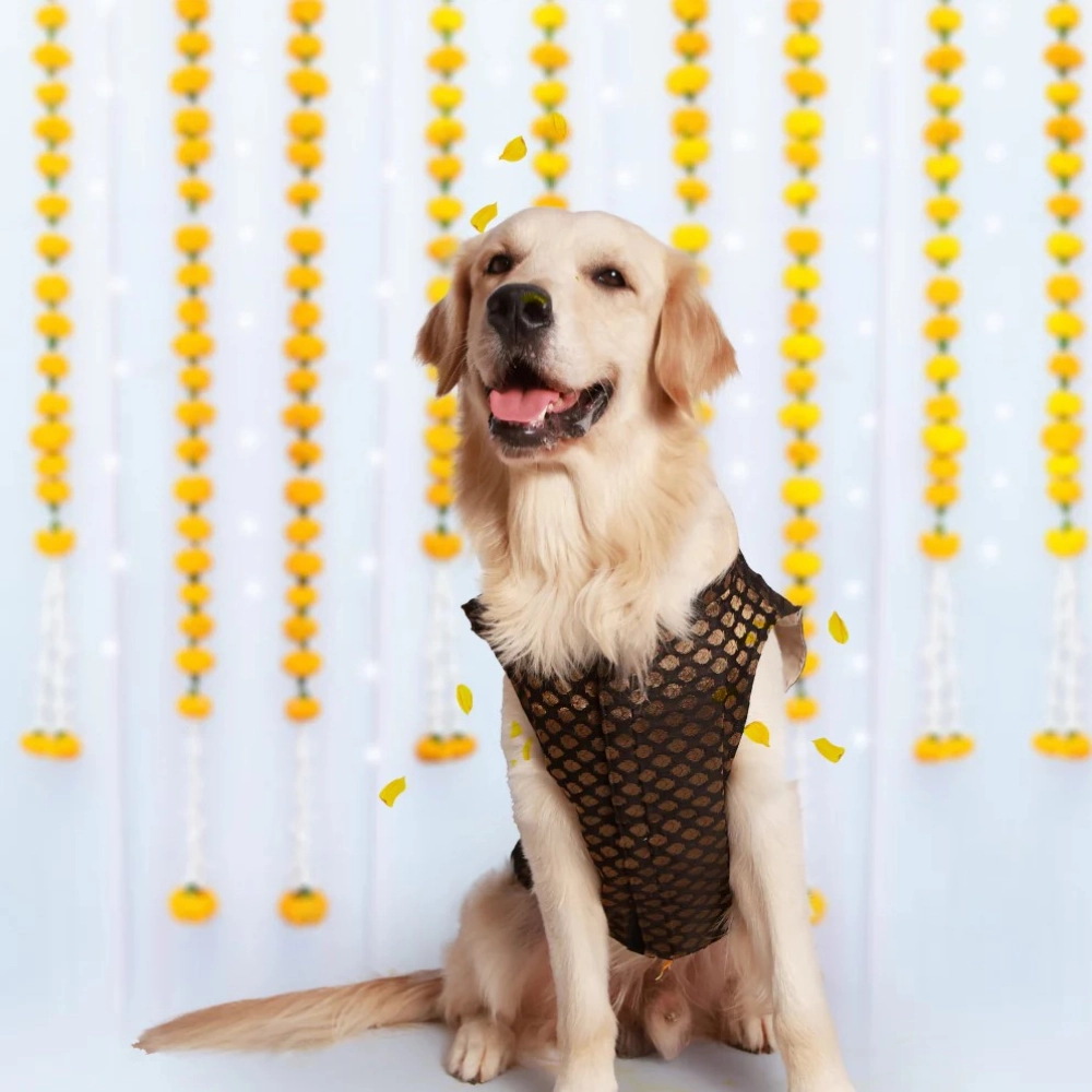 Pet Set Go Kurta for Dogs (Black)