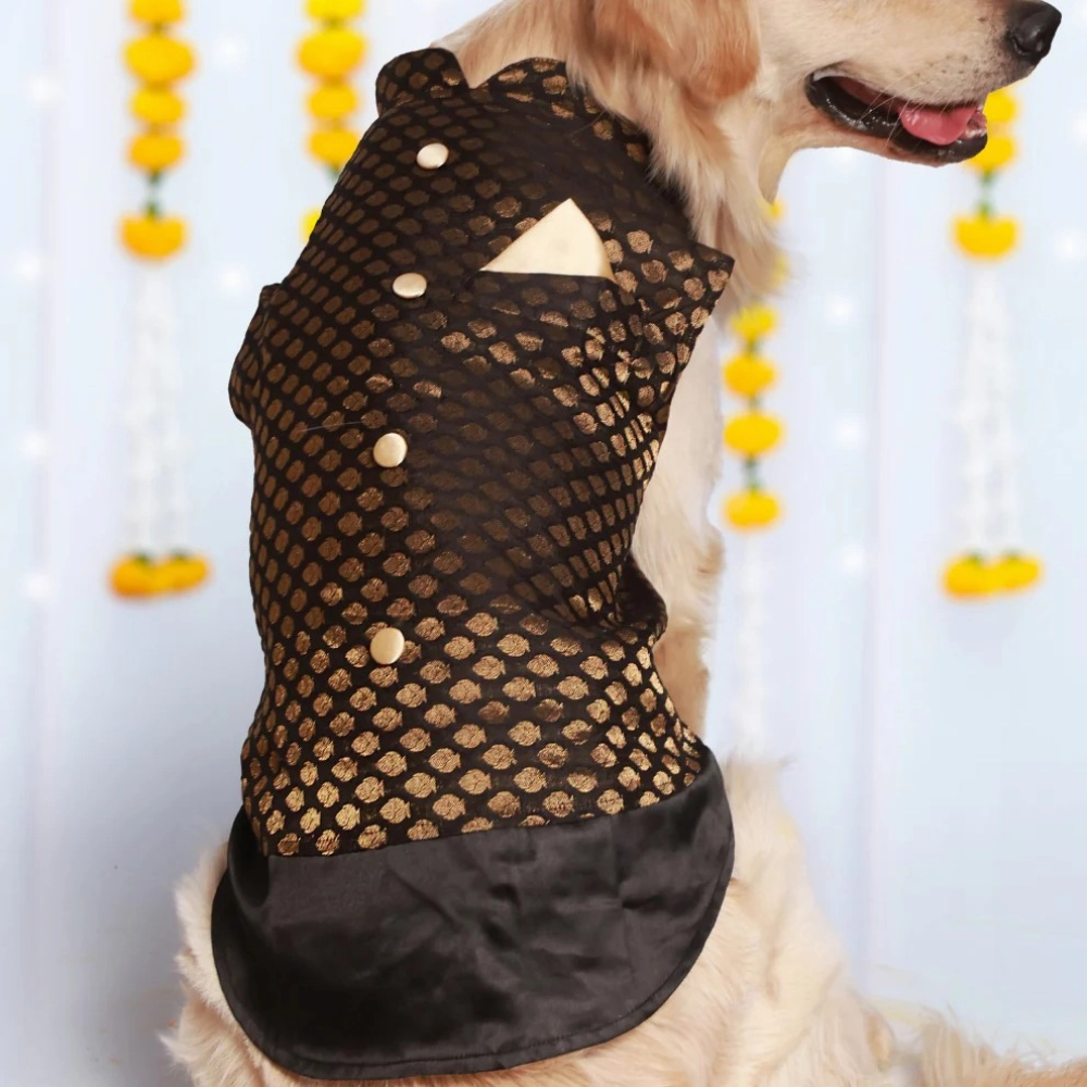 Pet Set Go Kurta for Dogs (Black)