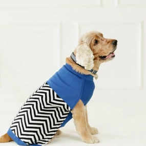 Pet Set Go Raisin??s Sweater for Dogs and Cats (Blue & Black)