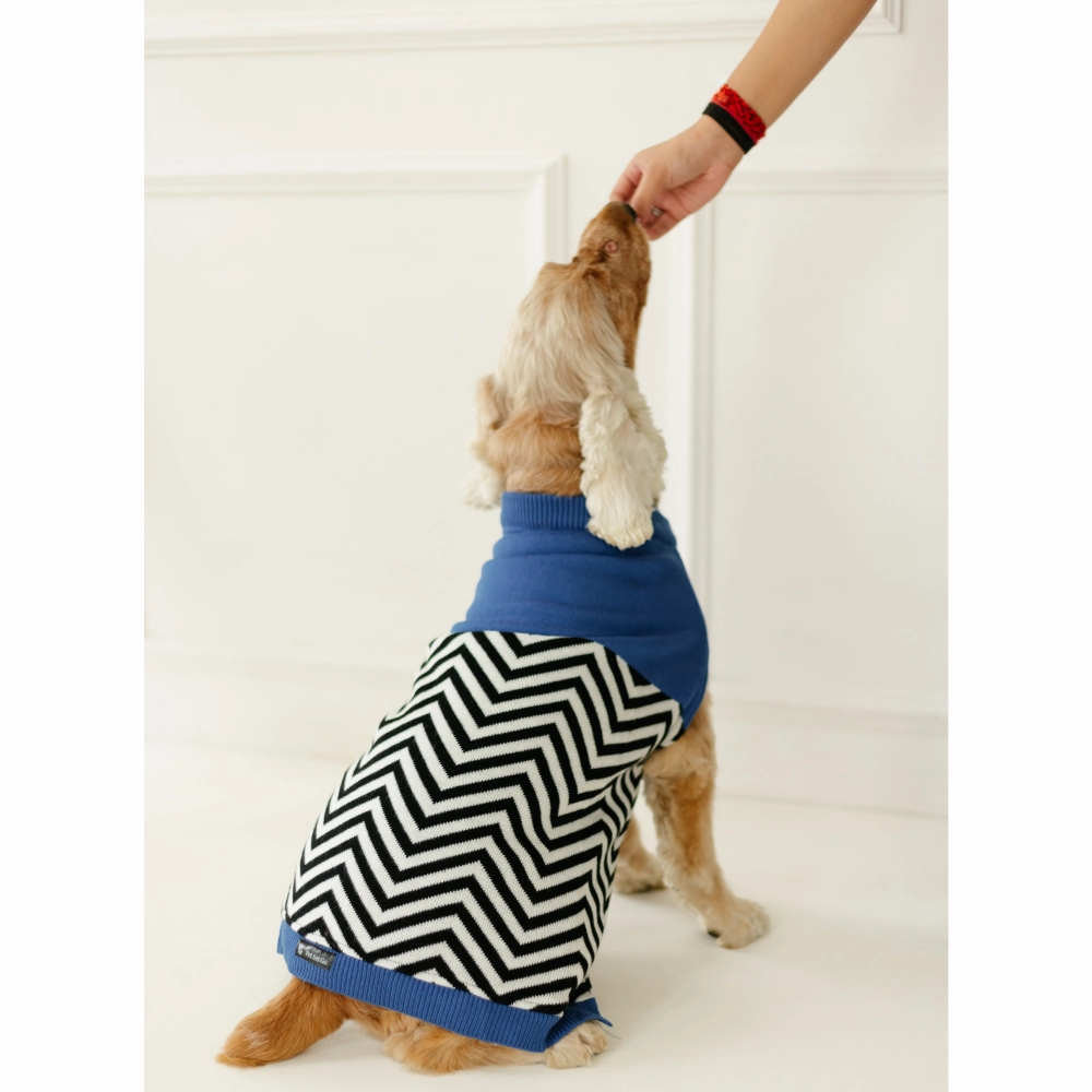 Pet Set Go Raisin??s Sweater for Dogs and Cats (Blue & Black)