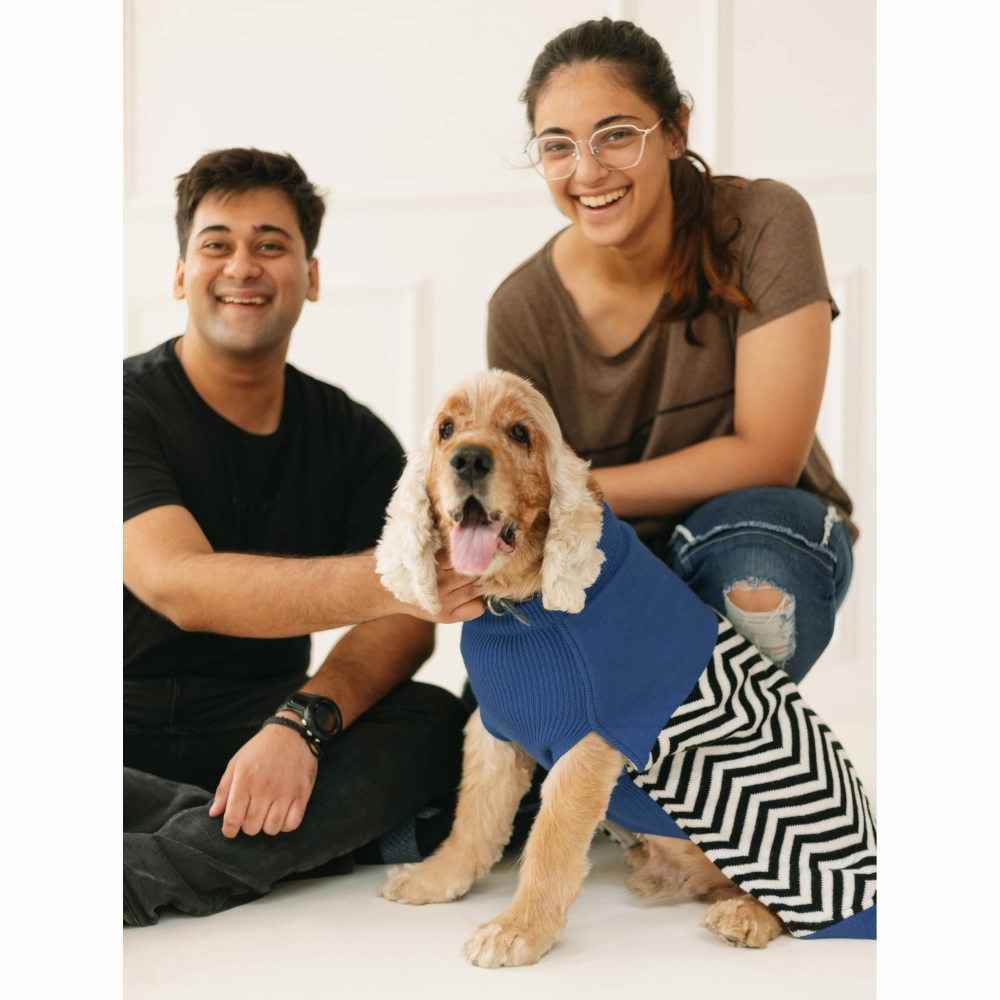 Pet Set Go Raisin??s Sweater for Dogs and Cats (Blue & Black)