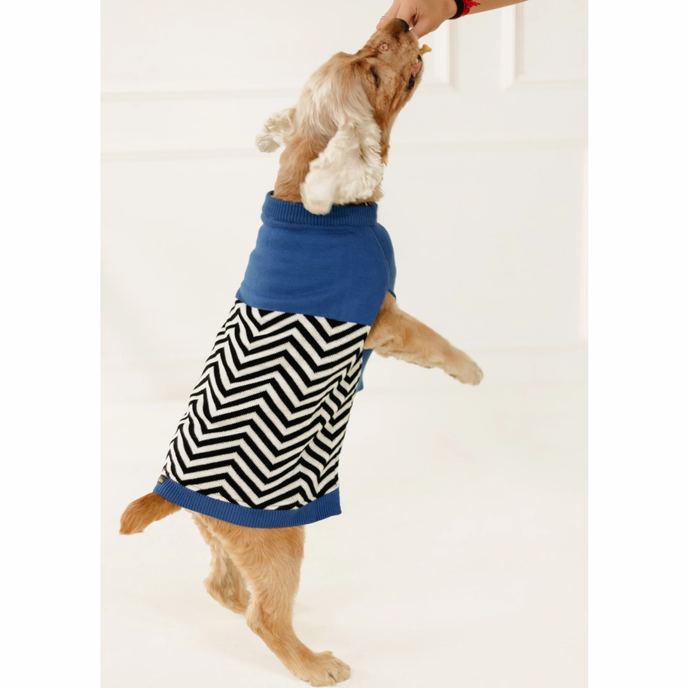Pet Set Go Raisin??s Sweater for Dogs and Cats (Blue & Black)