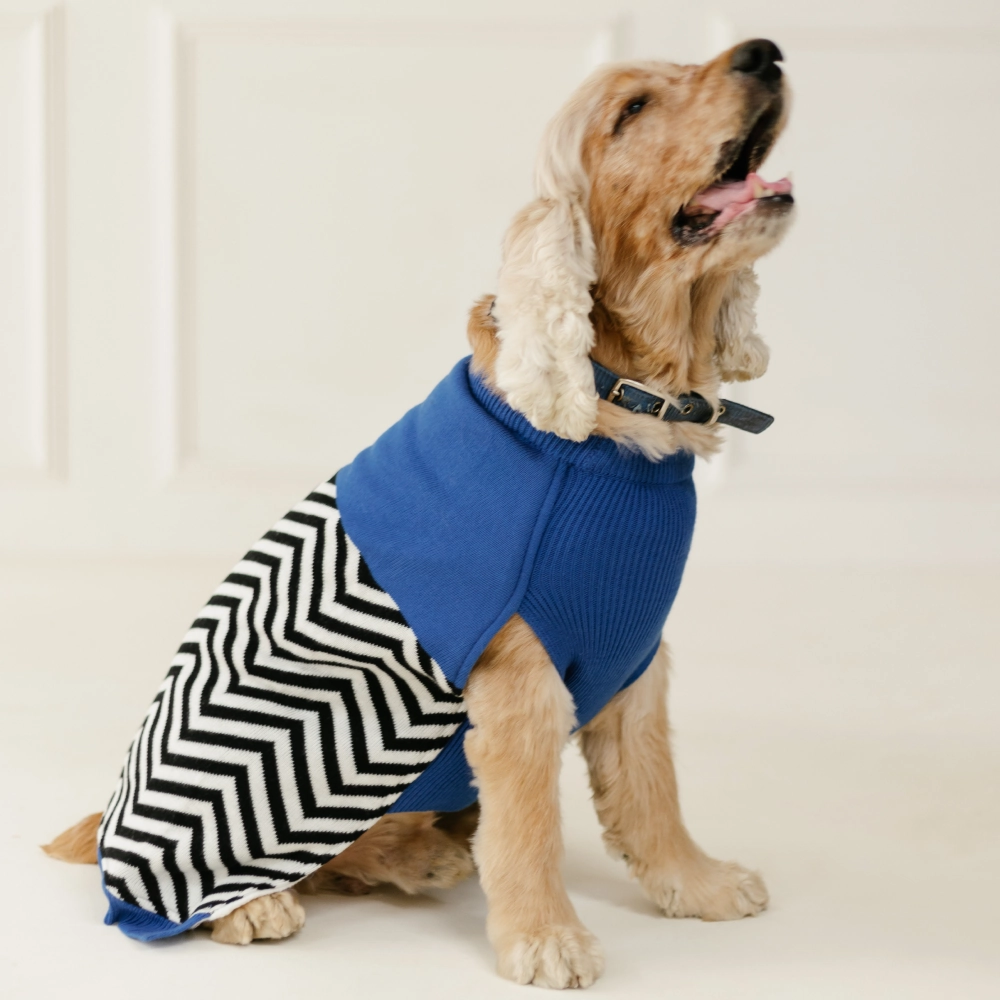 Pet Set Go Raisins Sweater for Dogs and Cats (Blue & Black)