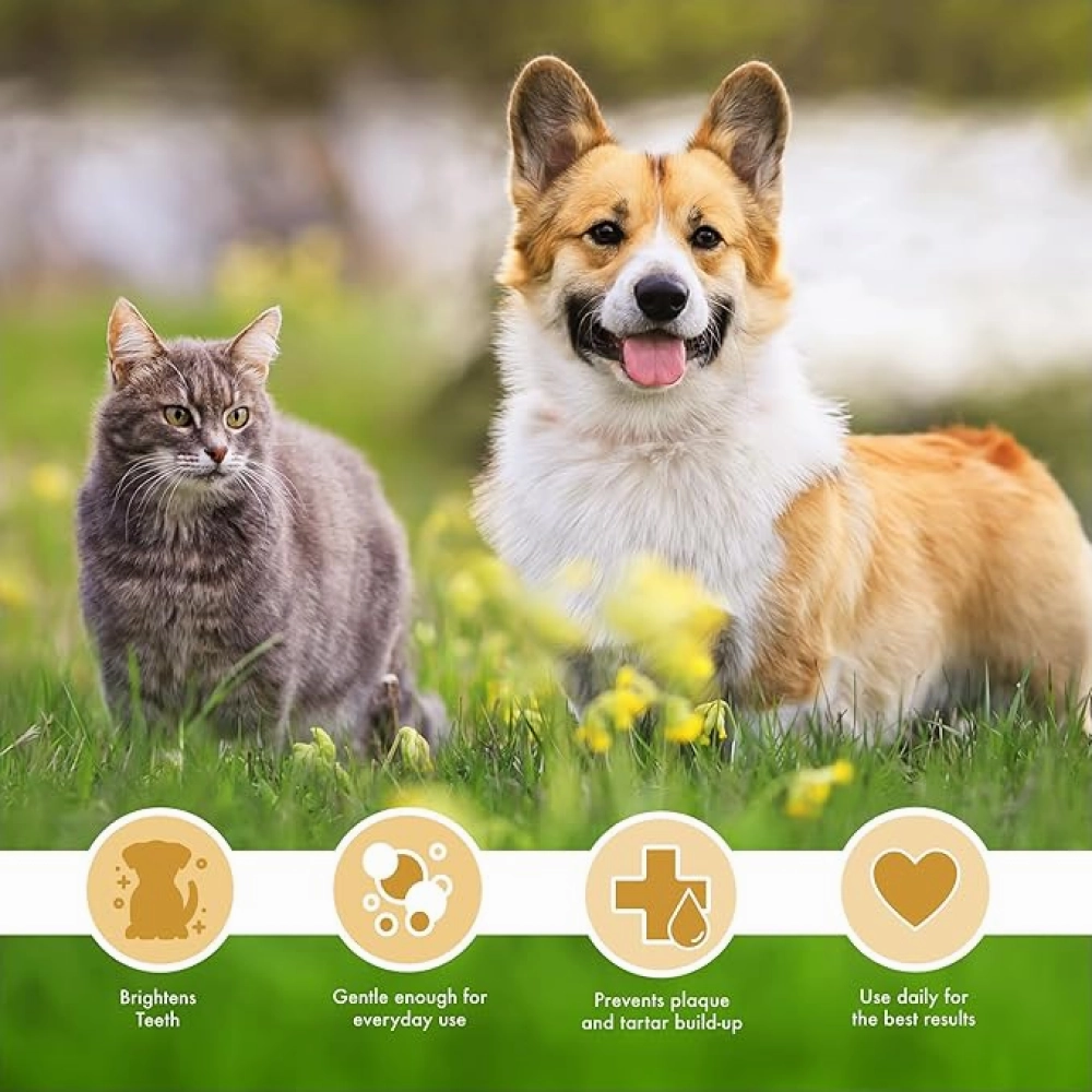 Petkin Peanut Butter Plaque Spray for Dogs and Cats