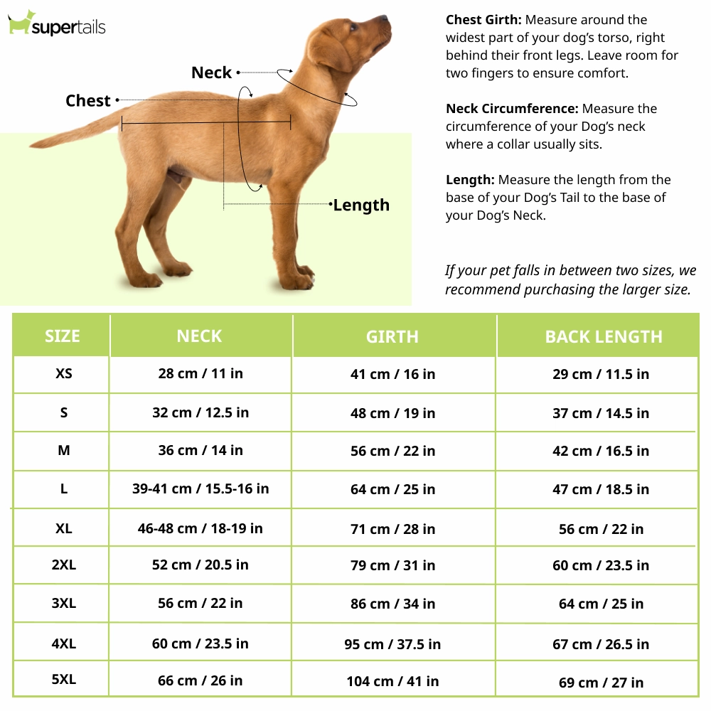 Pets Way Chennai Supaw Kings IPL Jersey for Dogs and Cats (Yellow)