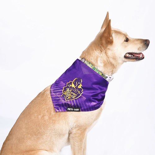 Pets Way Kolkata Kennel Riders IPL Bandana for Dogs and Cats (Purple)