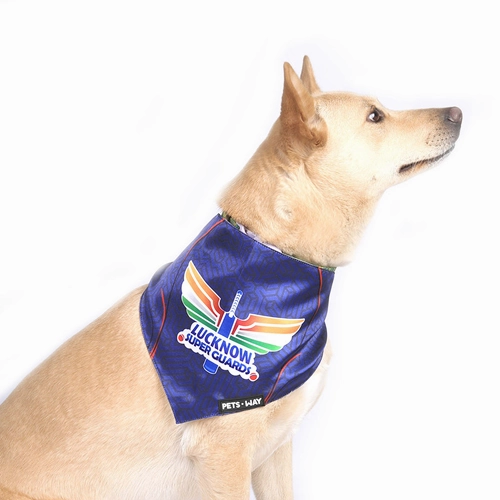 Pets Way Lucknow Super Guards IPL Bandana for Dogs and Cats (Blue)