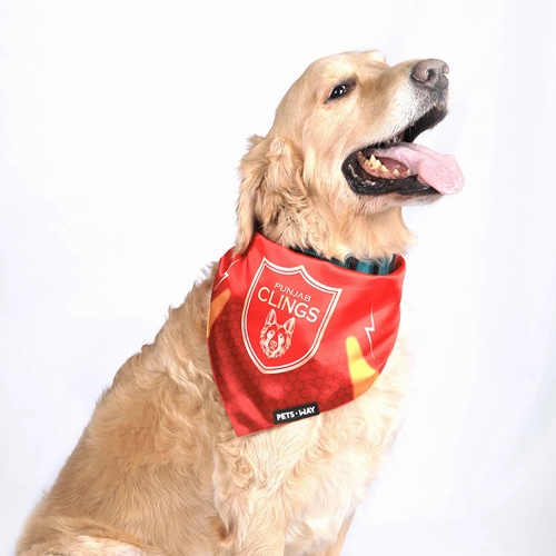 Pets Way Punjab Clings IPL Bandana for Dogs and Cats (Red)